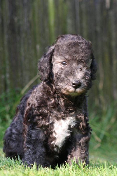 Arc-en-ciel Antares 2009-06-30 (9).JPG